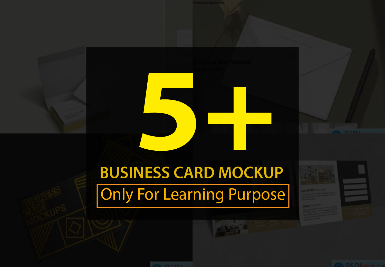 Business Card Mockup Bundle 16